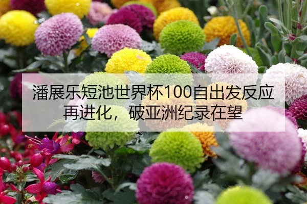 潘展乐短池世界杯100自出发反应再进化，破亚洲纪录在望