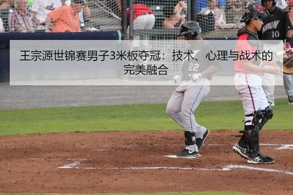 王宗源世锦赛男子3米板夺冠：技术、心理与战术的完美融合