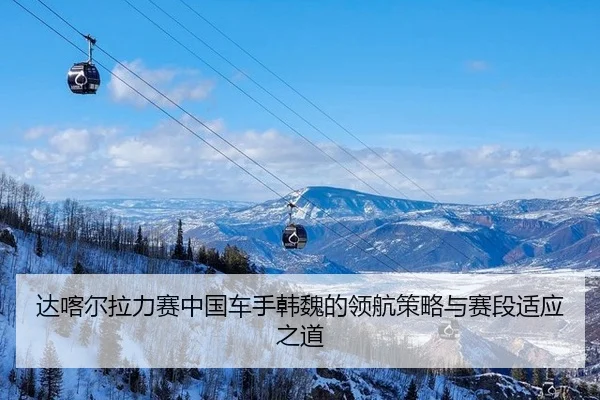 da-ka-er-la-li-sai-zhong-guo-che-shou-han-wei-de-ling-hang-ce-lve-yu-sai-duan-shi-ying-zhi-dao-2-363.jpg