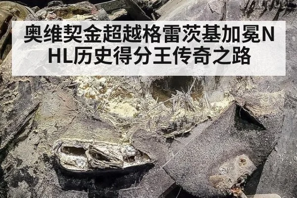 奥维契金超越格雷茨基加冕NHL历史得分王传奇之路