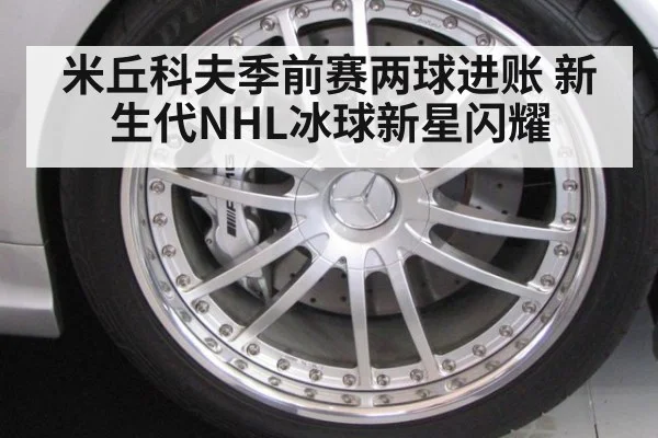 米丘科夫季前赛两球进账 新生代NHL冰球新星闪耀